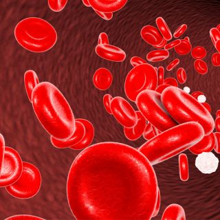 Az érrendszer megerősítése